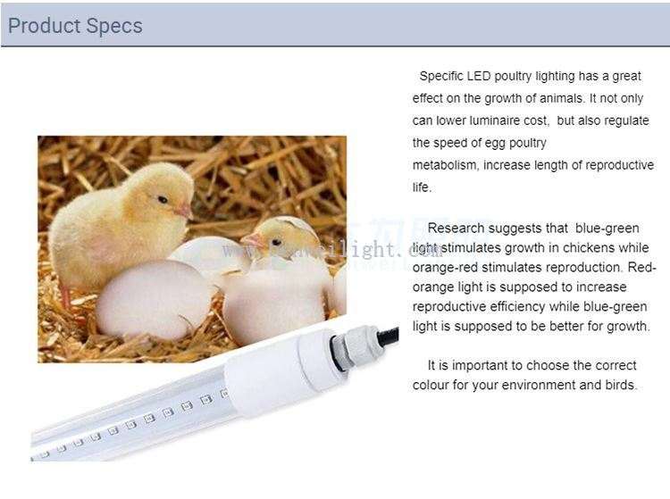 timed light for chicken coop - timed light for chicken coop -