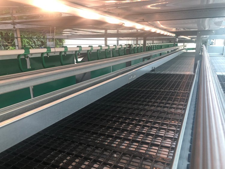 light for poultry light for poultry