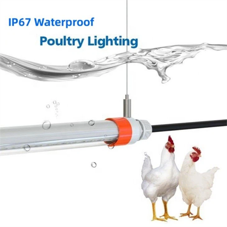 led light bulbs for chicken house 3