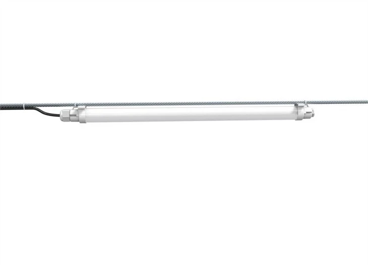 artificial lighting for chickens -