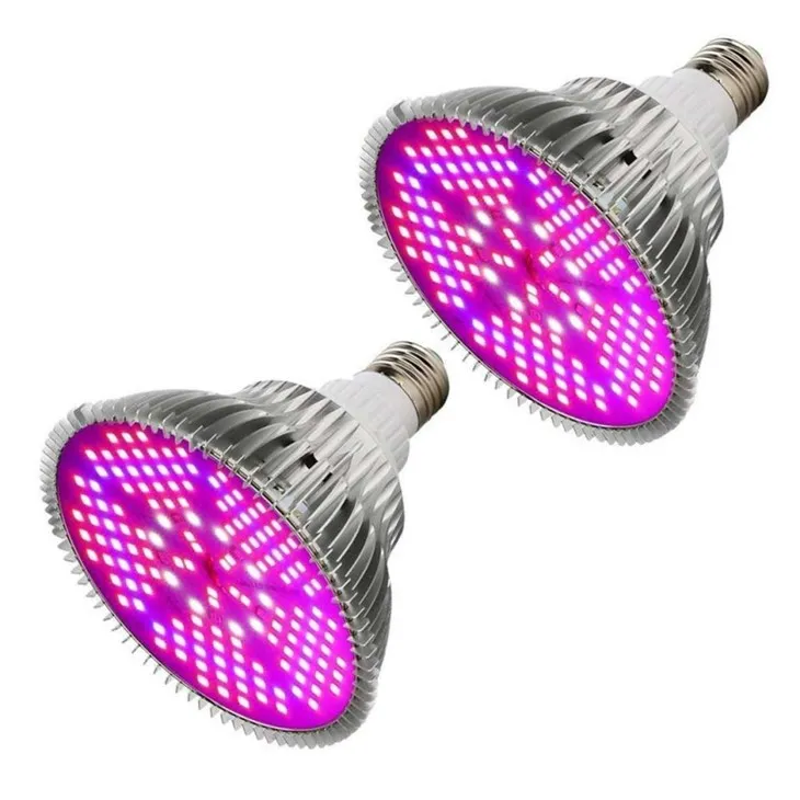 Daylight Bulbs For Plants