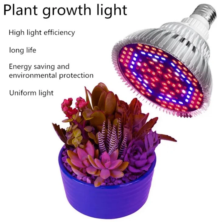 Full Spectrum Daylight Light Bulbs
