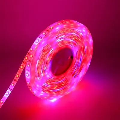 Elastīga Rgb Led neona gaismas sloksne