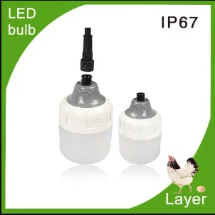 LED spuldzes gaisma mājputnu fermai