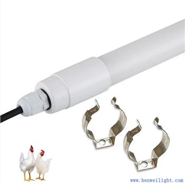 Led apgaismojums mājputnu novietnēm