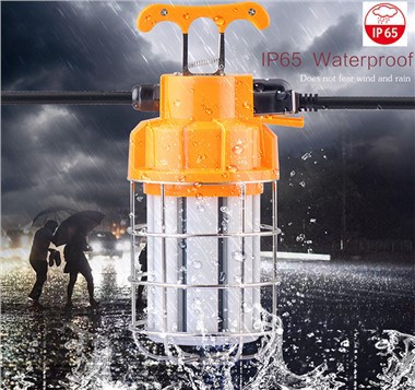 Temporary Light Fixture