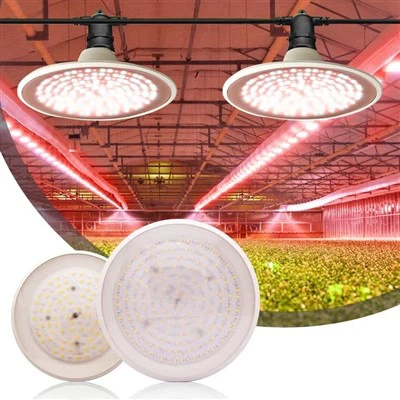 NLO LED augšanas gaisma iekštelpu augiem