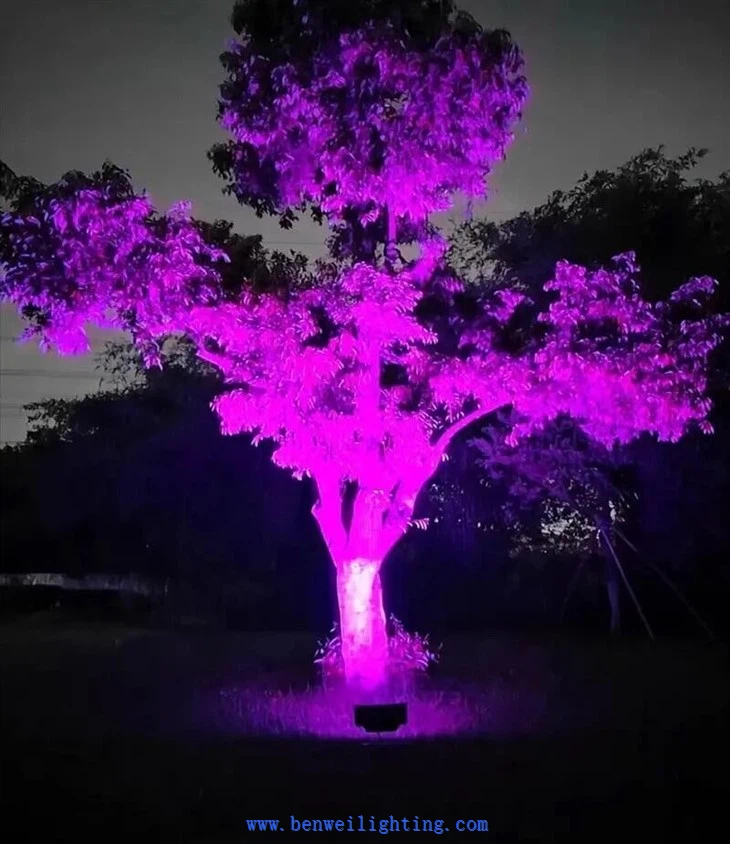 Floodlight 12-24V DC