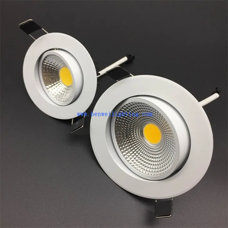 Adjustable Accent Light (5)