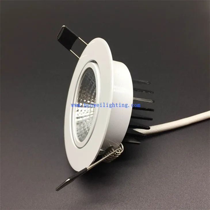 Adjustable Accent Light (2)