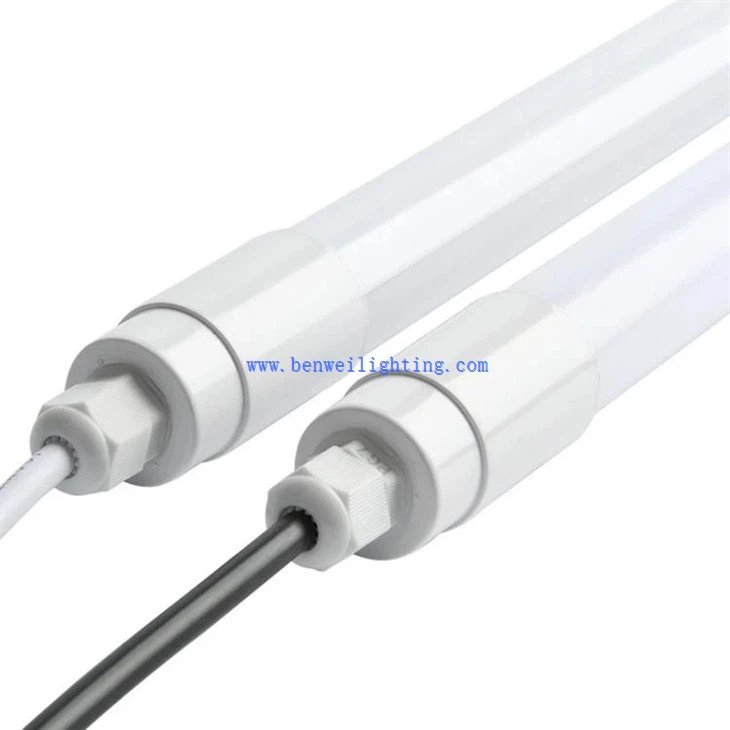 Breeding Lamp (4)