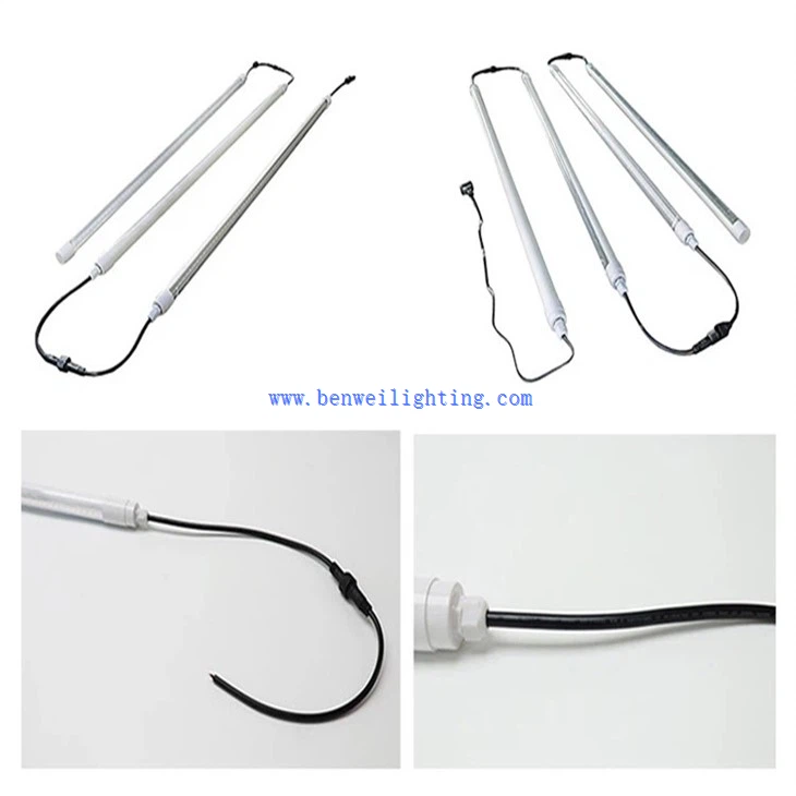 Egg Incubator Light (4)