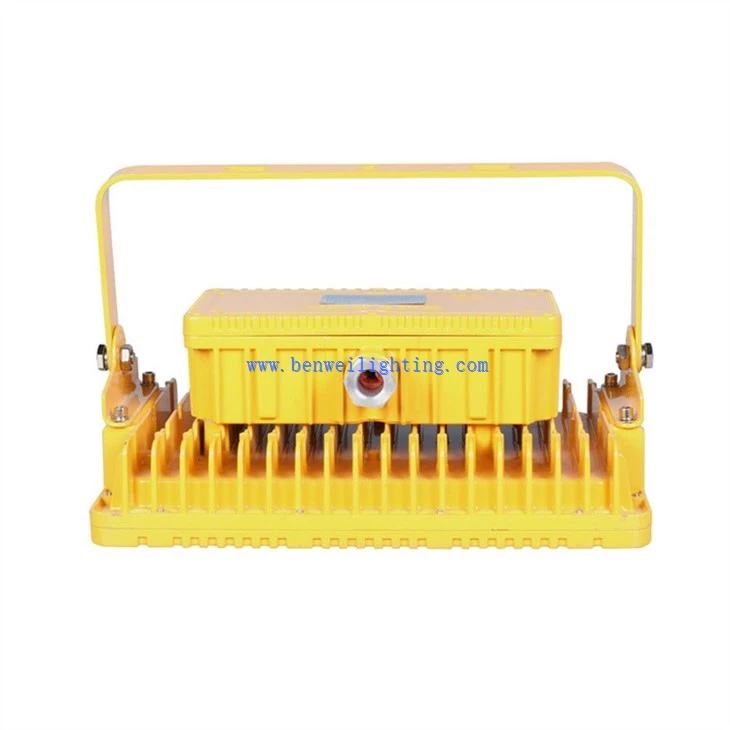 Explosion Proof Cold Storage Light (5)