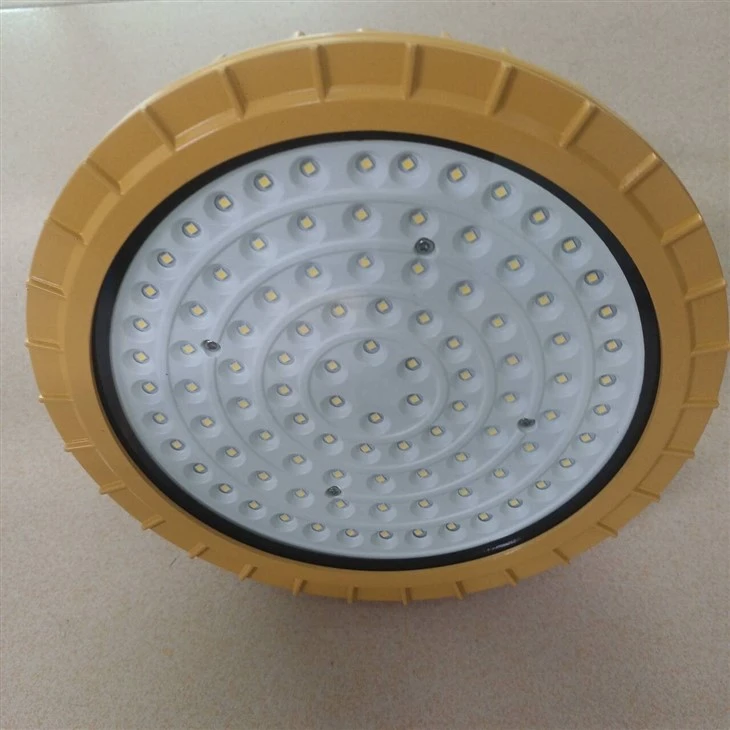 IP66 Waterproof Explosion Proof Led Flood Light Ex Safe CE RoHS
