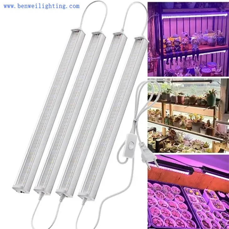 plant light indoor