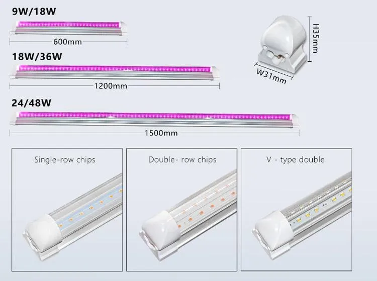 grow light grow light