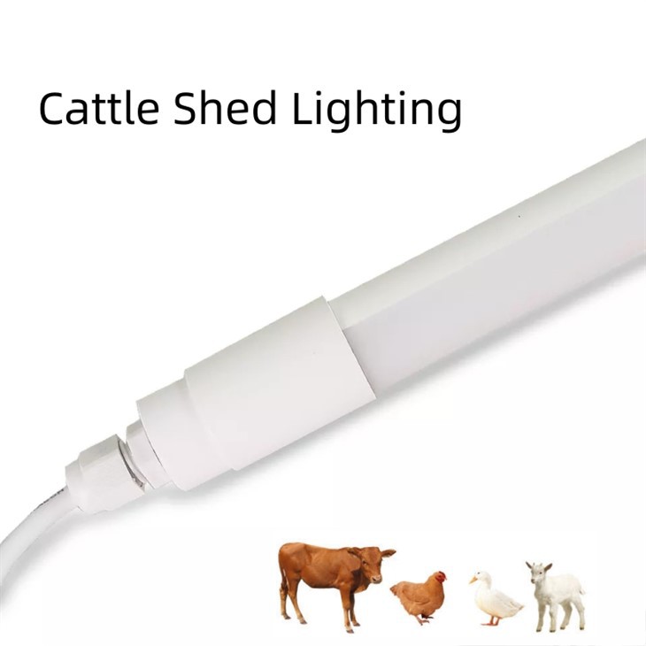 LED Lamp For Chicken Coop