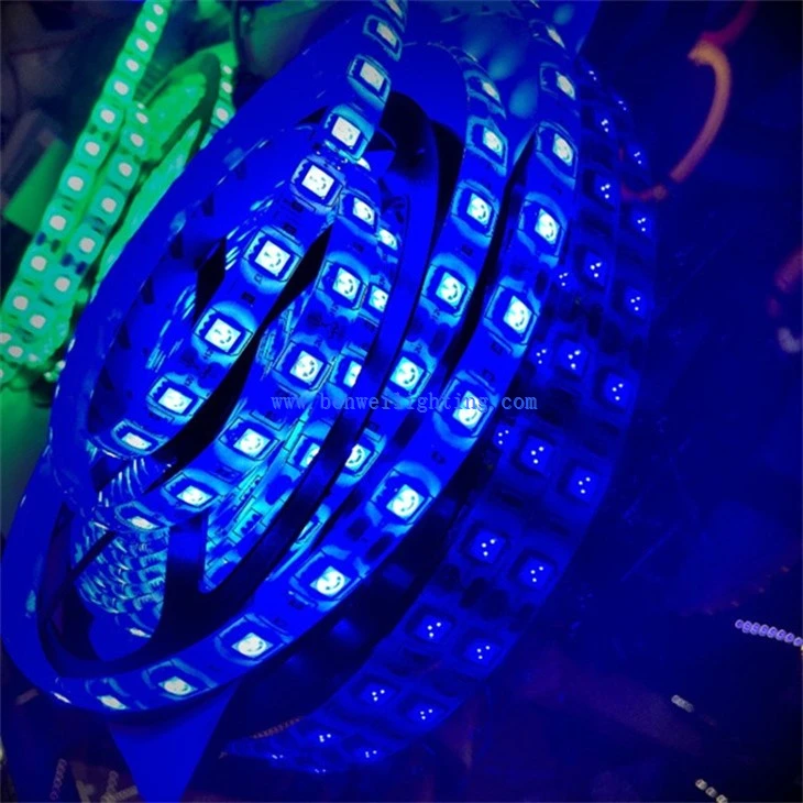 Low Voltage Strip Light  (1)