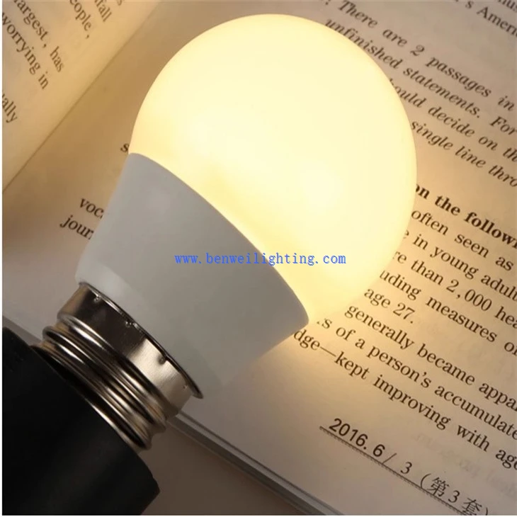 Practical LED Indoor Bulb (2)
