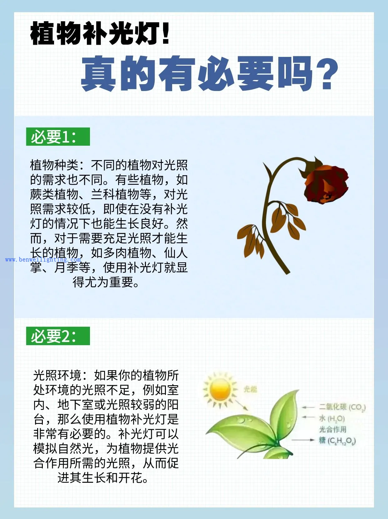 product-1242-1660
