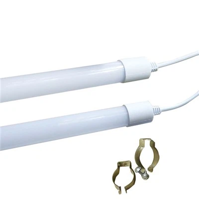 Putns Brooders Gaisma