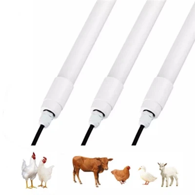 Komerciāla mājputnu LED lampa Ip65 mājputnu fermas LED gaisma