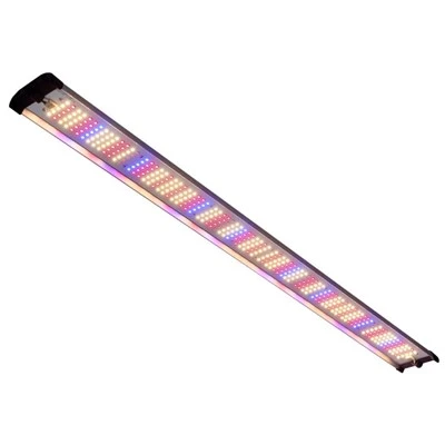 Sarkanas un zilas LED augšanas gaismas