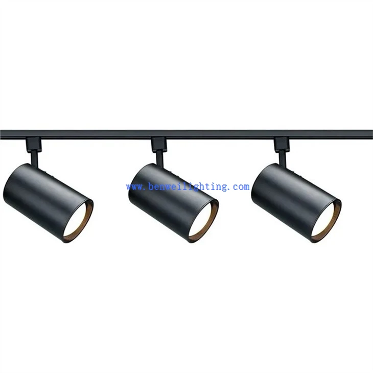 Track Light For Main Light (2)